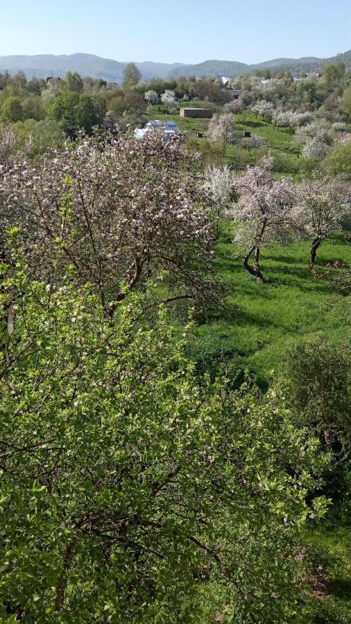 Bat'Kivska Hata Stari Kuty Exteriér fotografie