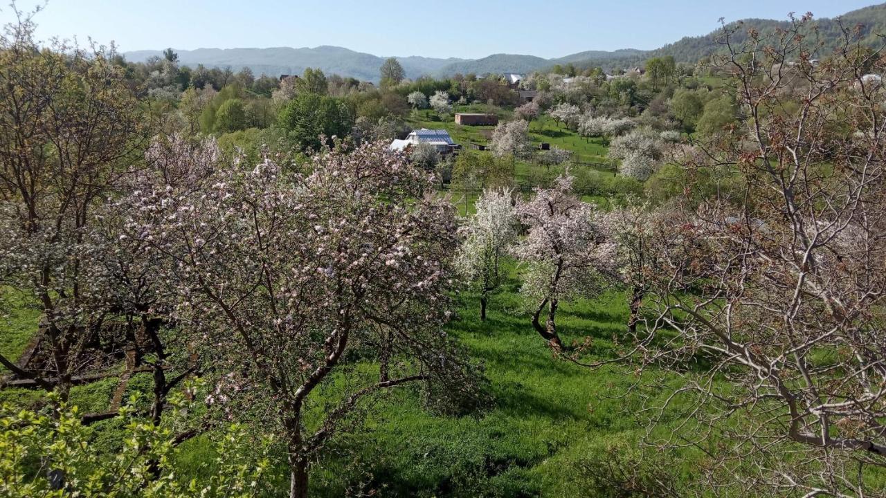 Bat'Kivska Hata Stari Kuty Exteriér fotografie
