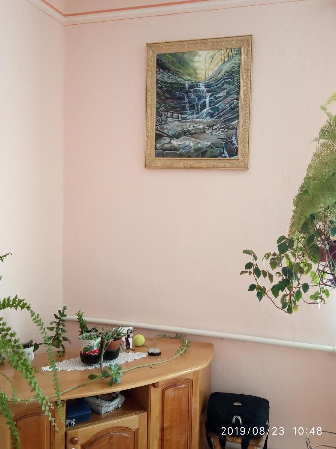 Bat'Kivska Hata Stari Kuty Exteriér fotografie