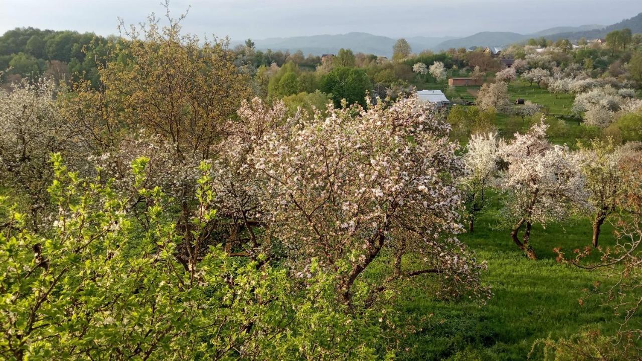 Bat'Kivska Hata Stari Kuty Exteriér fotografie