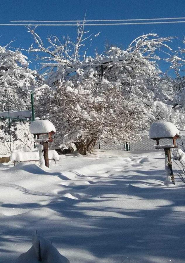 Bat'Kivska Hata Stari Kuty Exteriér fotografie