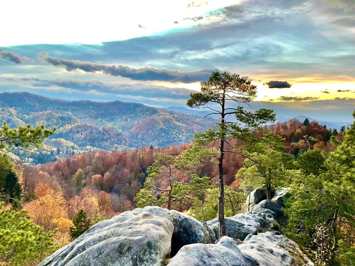 Bat'Kivska Hata Stari Kuty Exteriér fotografie