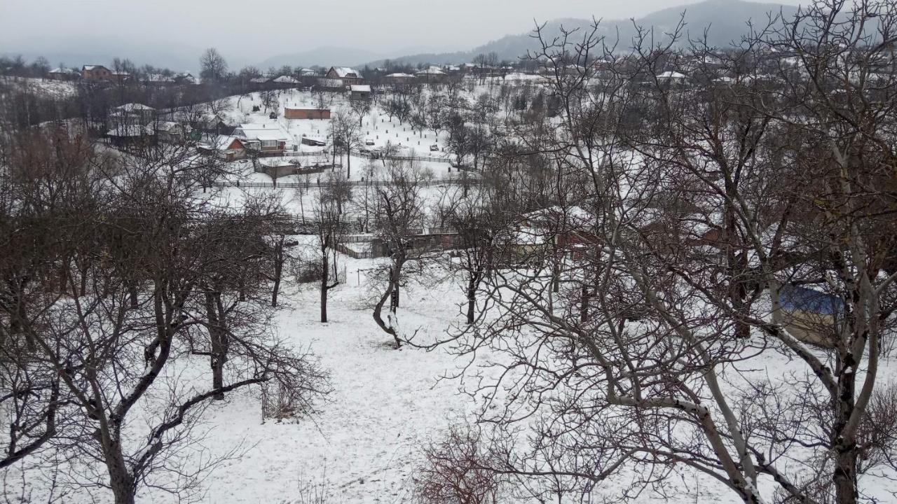 Bat'Kivska Hata Stari Kuty Exteriér fotografie
