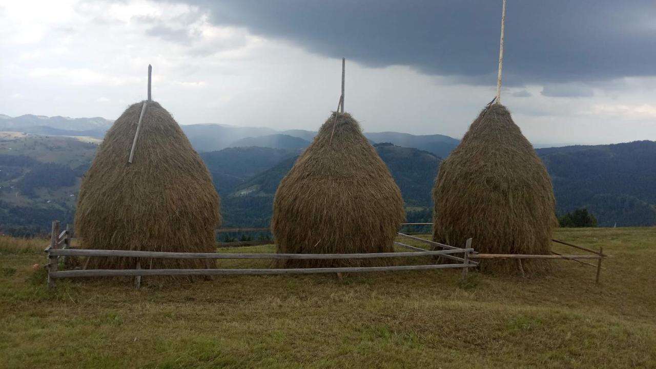Bat'Kivska Hata Stari Kuty Exteriér fotografie
